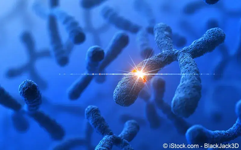 Chromosome Chromosome