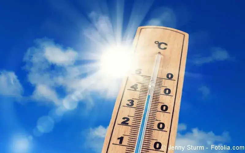 Sommerhitze