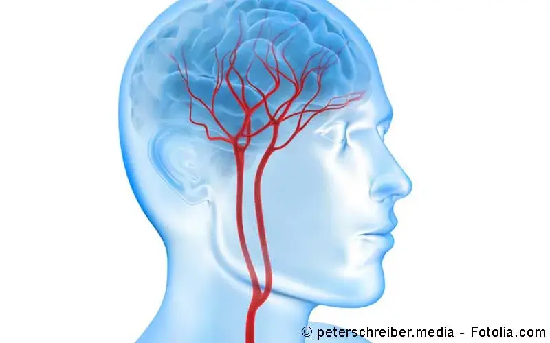 Blutversorgung Gehirn