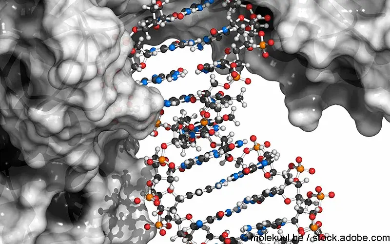 DNA Schäden Nachweis