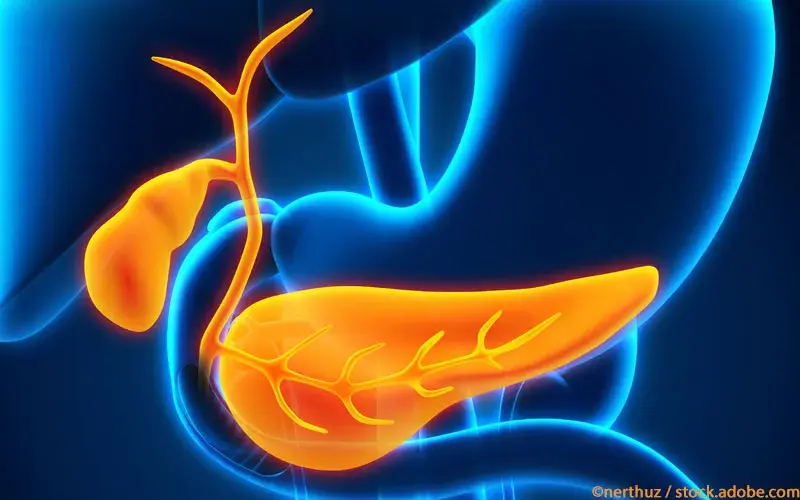 Gallenblase und Pankreas