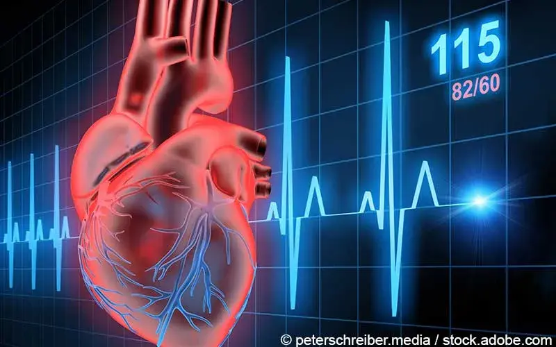 Herzrhythmus