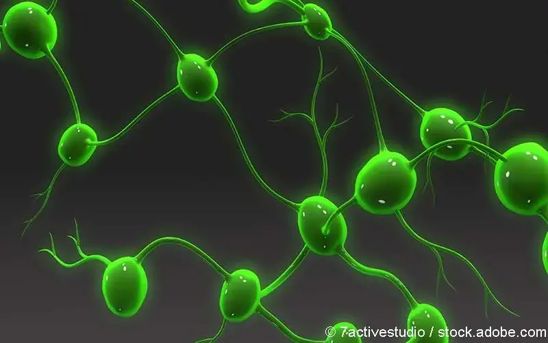 Lymphknoten Abbildung