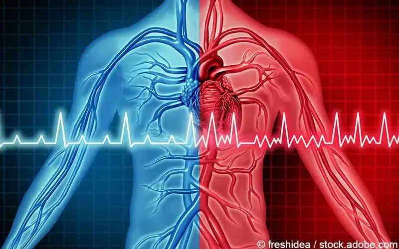 Vorhofflimmern Stoerung