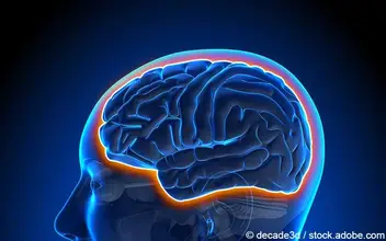 Blut-Hirn-Schranke Blut-Hirn-Schranke