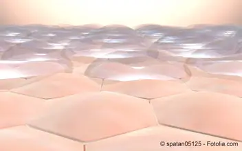 Dermatologie Dermatologie