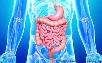 Gastroenterologie Magen Darm Gastroenterologie Magen Darm