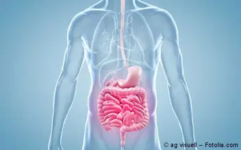 Gastroenterologie Gastroenterologie