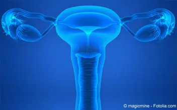 Gynäkologie Gynäkologie