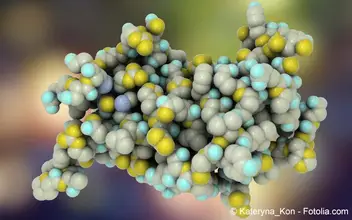 Endokrinologie Endokrinologie