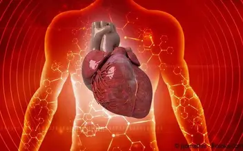 Kardiologie Herz Kardiologie Herz