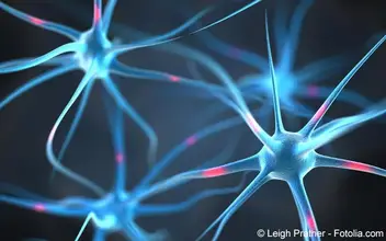 Neurologie Neurologie