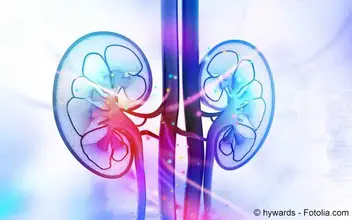 Nieren Nieren