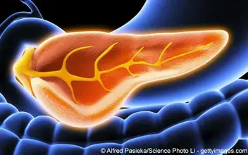 Pankreas Bauchspeicheldrüse Pankreas Bauchspeicheldrüse