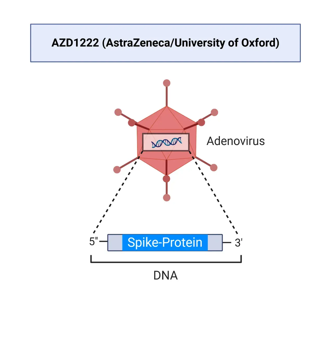 AZD1222 AZD1222