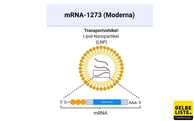 mRNA-1273 mRNA-1273