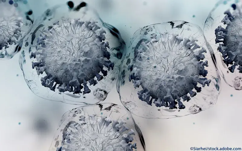 Coronavirus Replikation