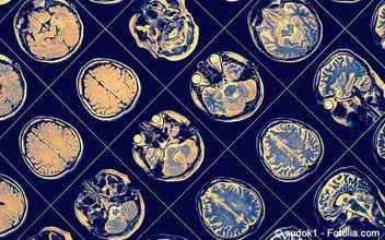 DKK 2018 Video-Interview DKK 2018 Video-Interview