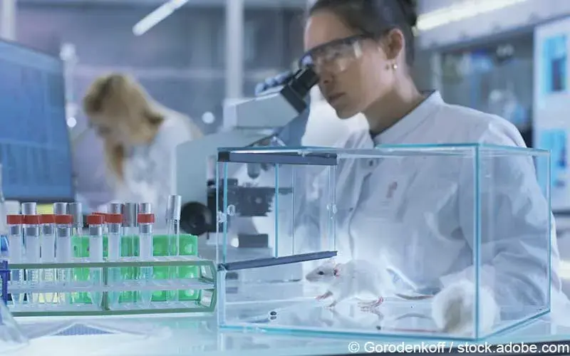 Labormaeuse