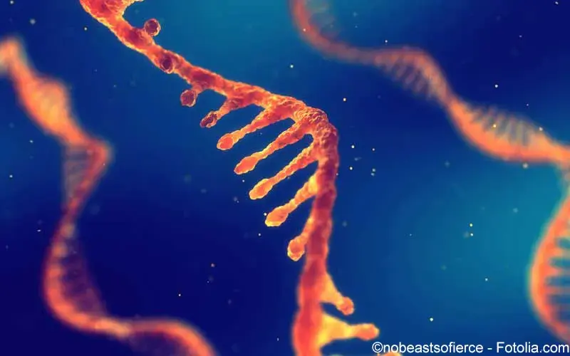RNA