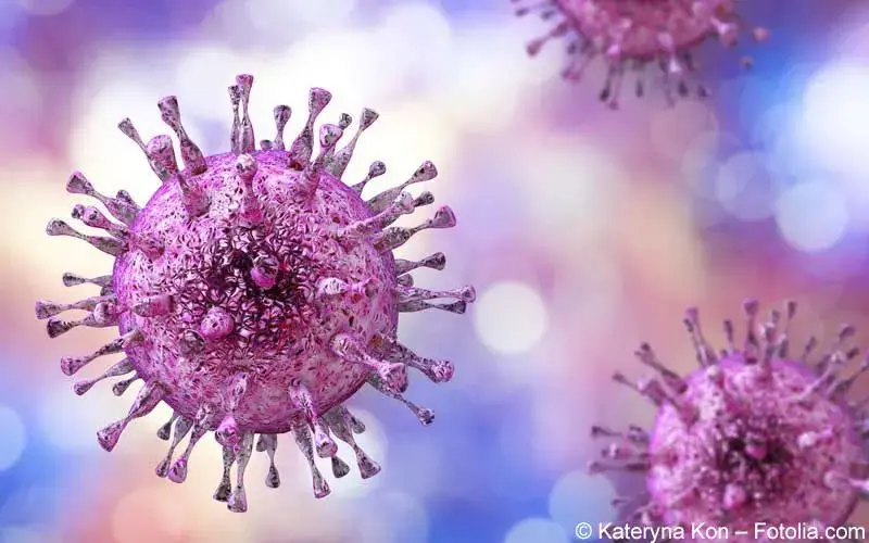 CMV-Virus