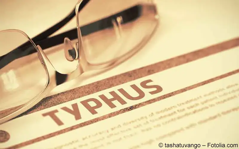 Typhus