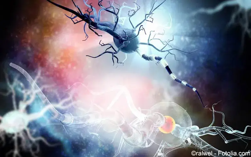 Multiple Sklerose - Neurodegeneration