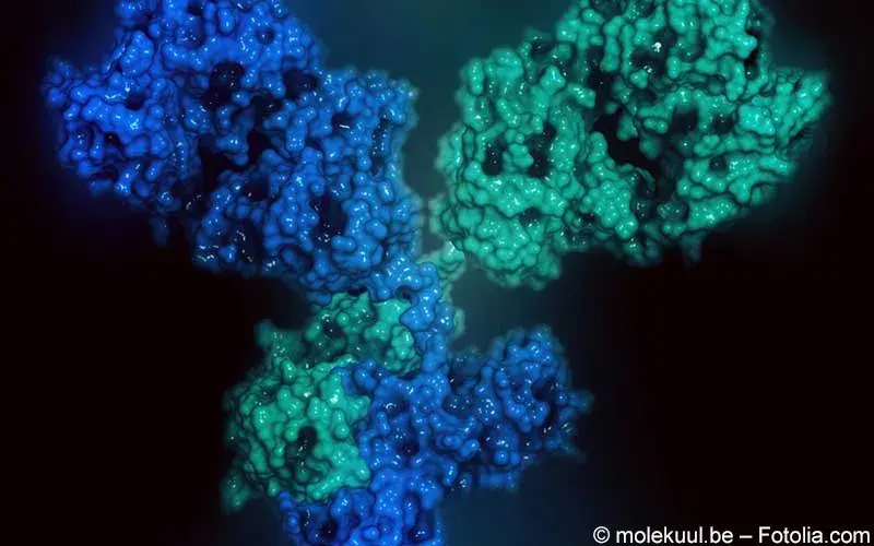 Antikörper Struktur 3d