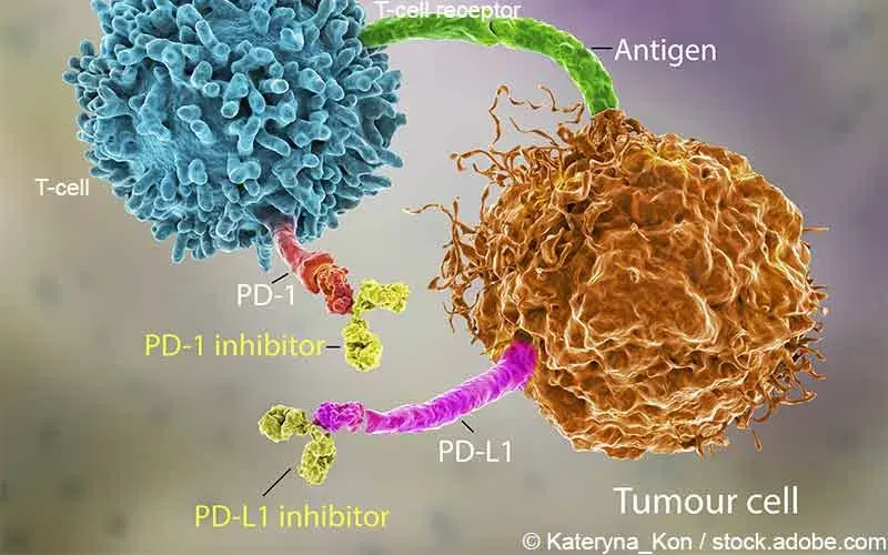 Checkpoint-Inhibitor