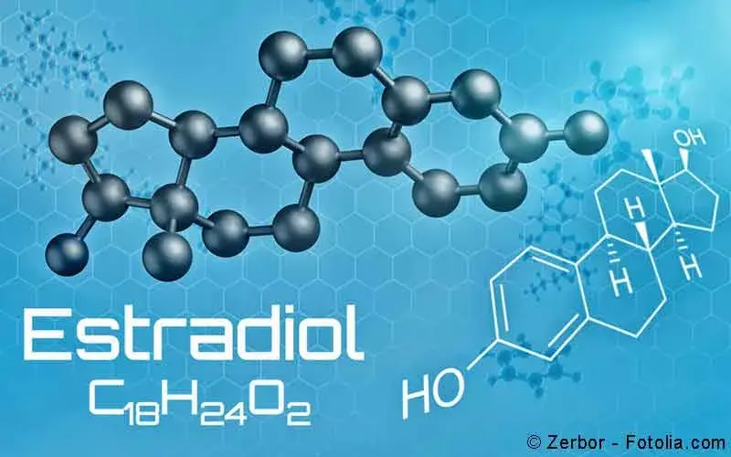 Preis Von Konjugiertes Estrogen