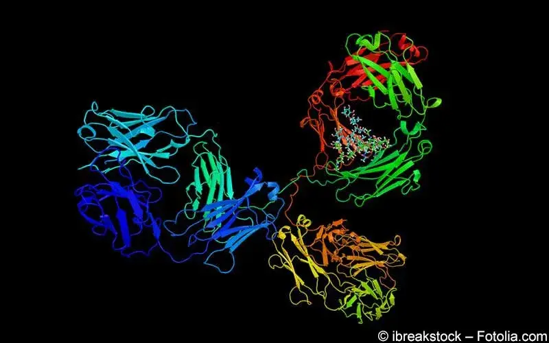 Monoklonaler Antikörper