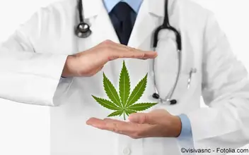 Cannabinoide in der Medizin Cannabinoide in der Medizin