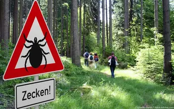 Zecken Risikogebiet Zecken Risikogebiet