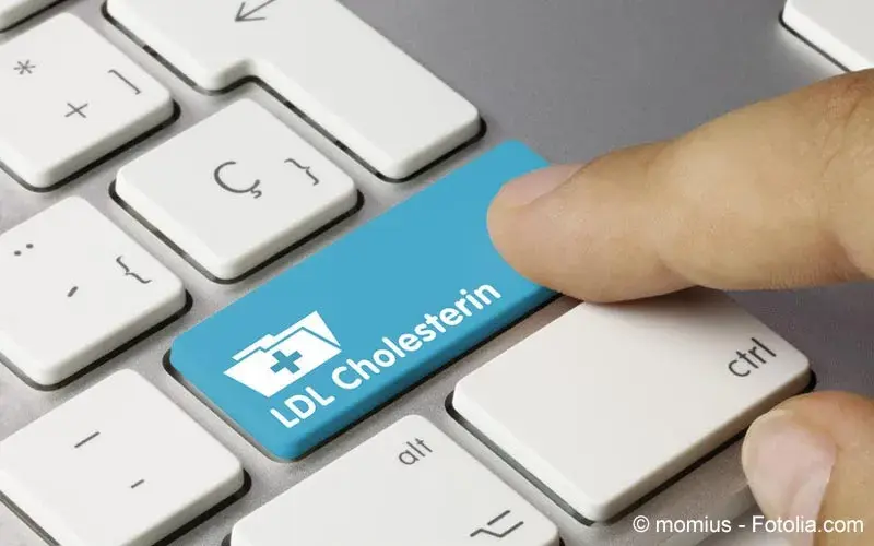LDL-Cholesterin