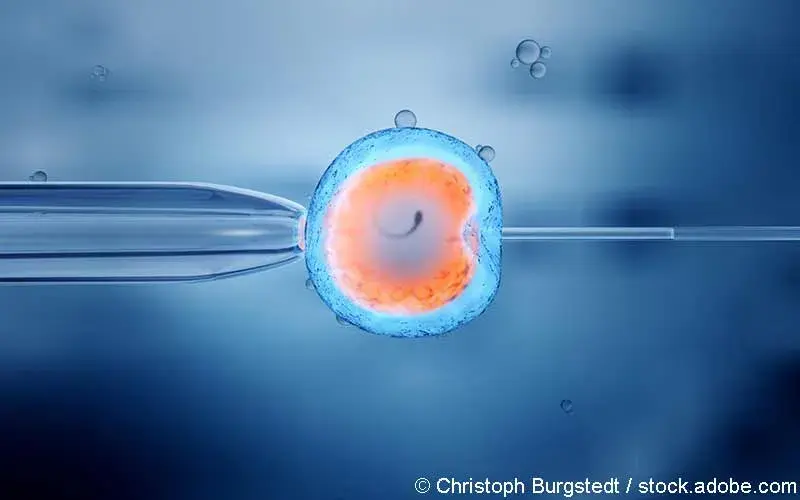 Kuenstliche Befruchtung