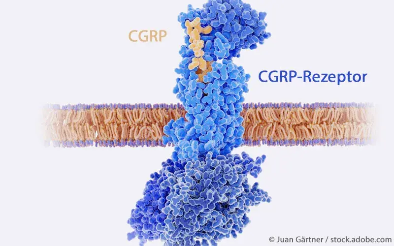 CGRP