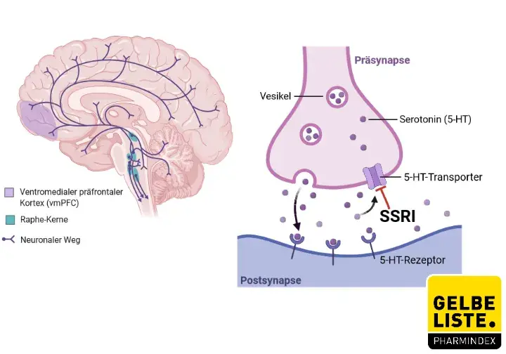 Sertraline 25mg bnf