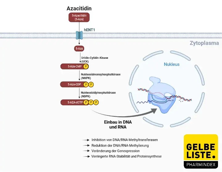 Azacitidin Azacitidin