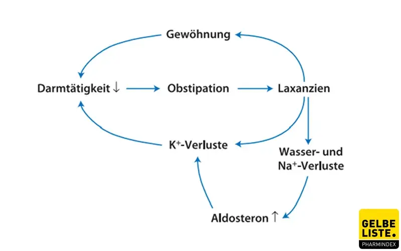 circulus vitiosus laxanzien circulus vitiosus laxanzien