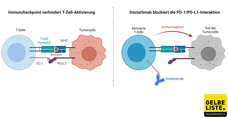Dostarlimab-WM Dostarlimab-WM