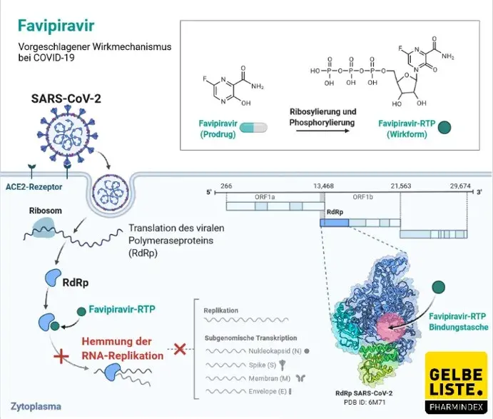Favipiravir Favipiravir