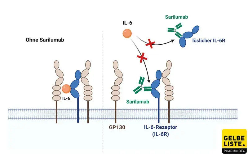 Sarilumab korrigiert Sarilumab korrigiert