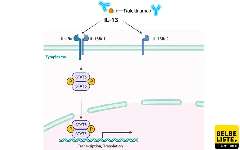 Tralokinumab Tralokinumab