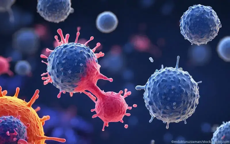 Antigenpraesentierende Zelle