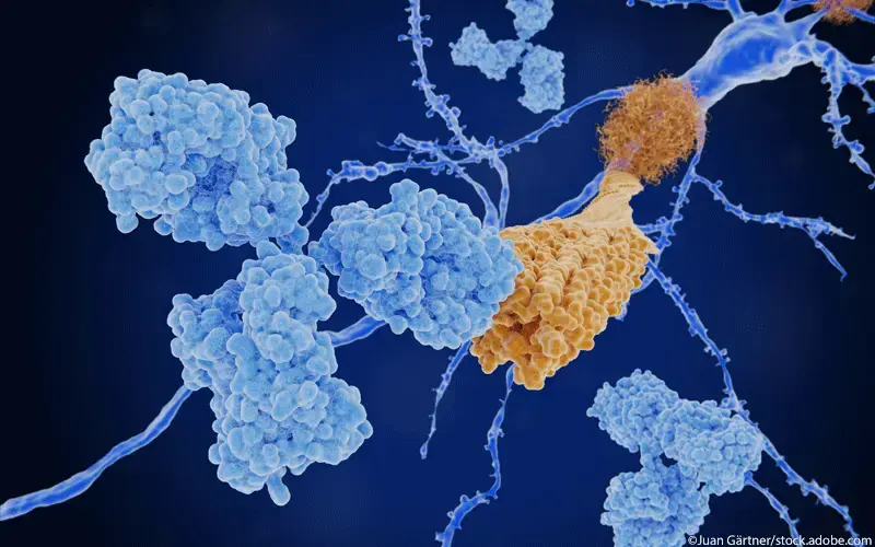 Antikörper Alzheimer Immuntherapie