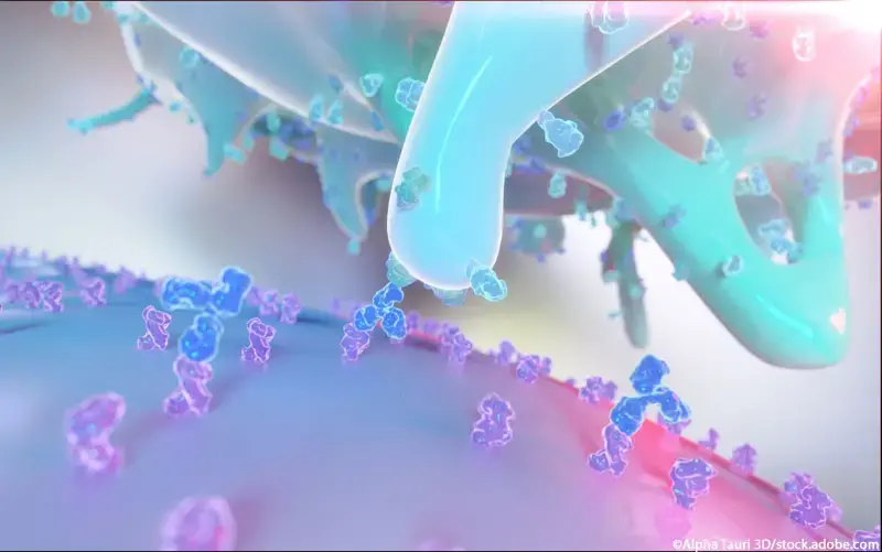 Antikörper Krebszellen