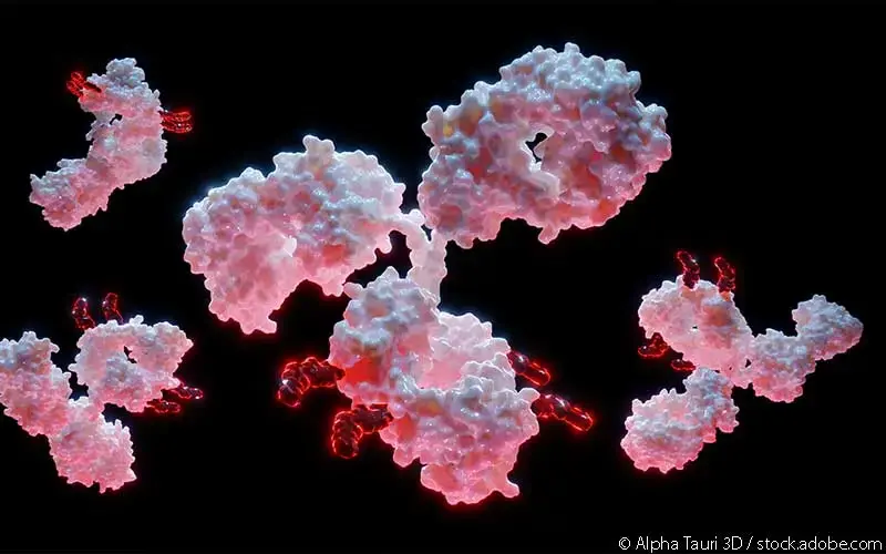 Antikoerper-Wirkstoff-Konjugat