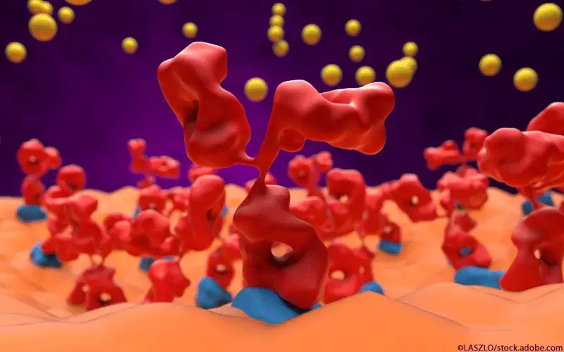 Autoantikörper myasthenia gravis