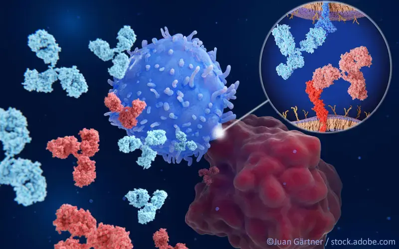 Checkpoint-Inhibitor PD-1/PD-L1