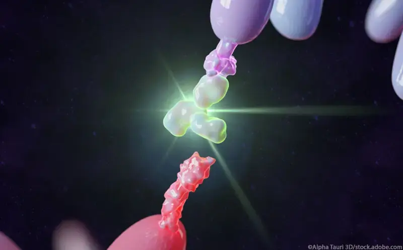 Checkpont-Inhibition